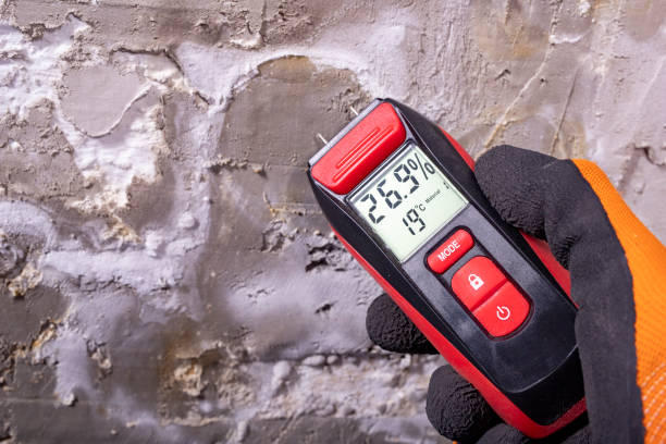 Best Affordable Mold Removal  in Greentown, IN