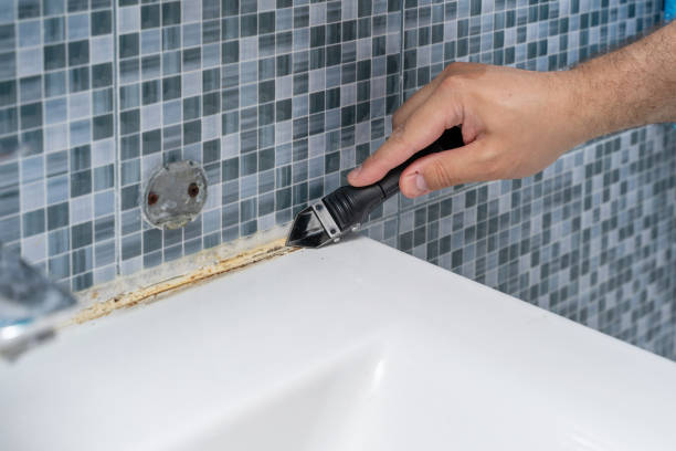 Best Black Mold Removal  in Greentown, IN