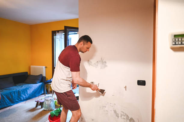 Best Mold Cleaning Services  in Greentown, IN